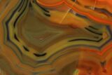Colorful, Polished Condor Agate Section - Argentina #145535-1